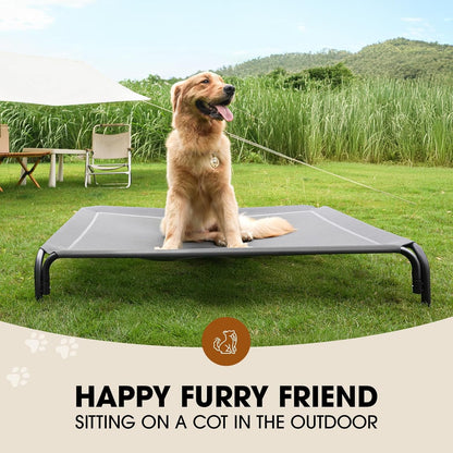 Elevated Dog Cooling Bed